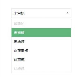 select下拉条件选择框美化插件