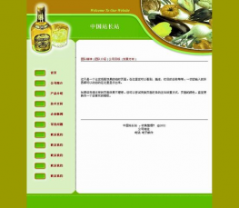 公司企业网站模板 公司模板HTML 公司企业