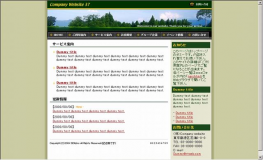 公司企业网站模板 Art 公司模板 公司企业