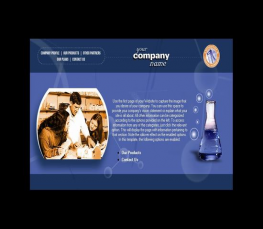 公司企业网站模板 ThemeGallery 公司模板 公司企业