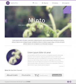 紫色 紫色简洁风格HTML模板 时尚艺术类模板