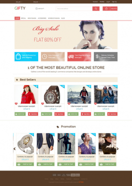 电子商务模板 b2c商城购物网站模板 电子商务