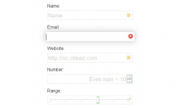 HTML5+CSS3超酷动态表单
