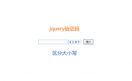 jQuery区分大小写验证码输入框