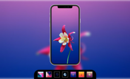 CSS3绘制iPhoneX手机墙纸切换特效