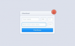css3实现结账Form表单