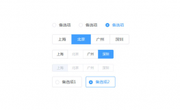 基于element-ui单选按钮插件