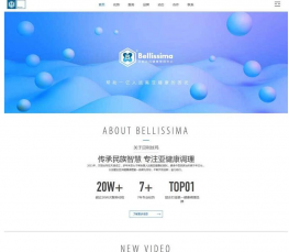 经典蓝色响应式的健康管理医疗企业网站html模板